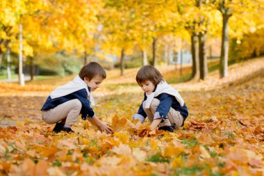 Mutlu çocuk, erkek kardeşler, park, Reaply atma oyun