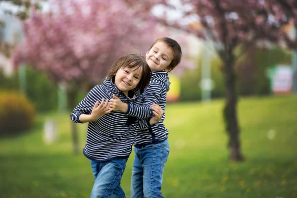 Two children, brothers, fighting in a park — Stock Photo, Image