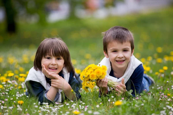 Sweet children, boys, gathering dandelions and daisy flowers — Stock Photo, Image