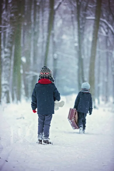 Dvě děti, chlapce bratři, procházky v lese s staré suitcas — Stock fotografie