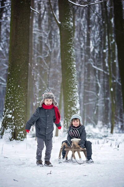 Fröhliche Kinder im Winterpark, die zusammen mit einem Schlitten spielen — Stockfoto