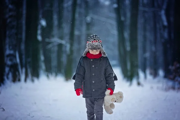 Szomorú elveszett gyerek, a fiú maci, az erdő télen — Stock Fotó