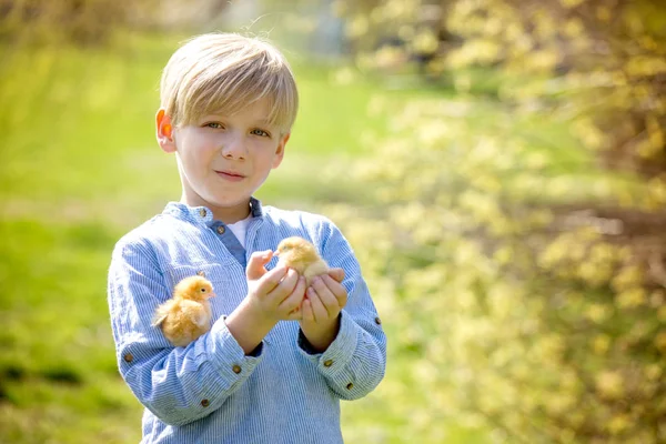 Doce criança bonito, menino pré-escolar, brincando com pouco chi recém-nascido — Fotografia de Stock