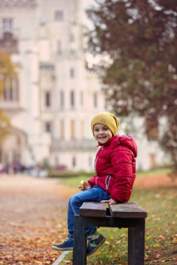 Güze önünde bir bankta oturan sevimli güzel çocuk, çocuk,