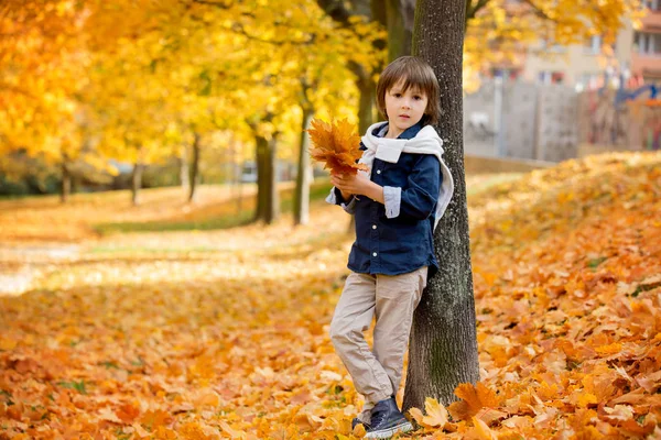 Счастливый ребенок, мальчик, играющий в парке, бросающий листья, играющий — стоковое фото
