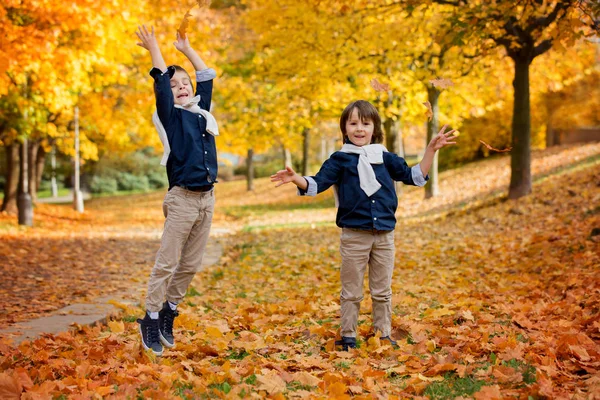 快乐的孩子，男孩的弟兄们，在公园里玩扔树叶 — 图库照片
