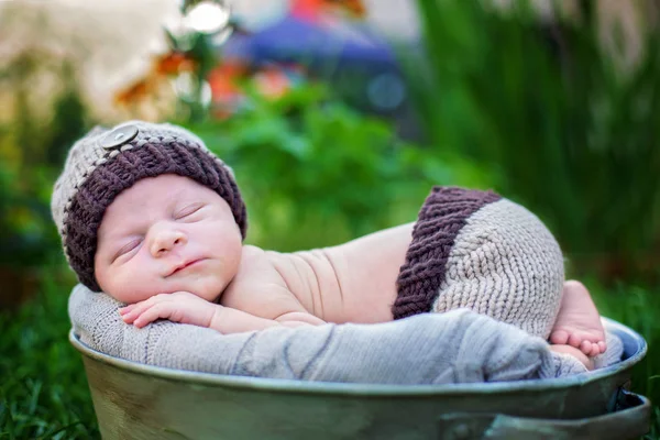 Little sweet newborn baby boy, sleeping in crate with knitted pa — Stock Photo, Image