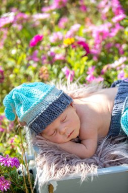 Şirin yeni doğan bebek çocuk, huzur içinde Bahçe sepete sleeping