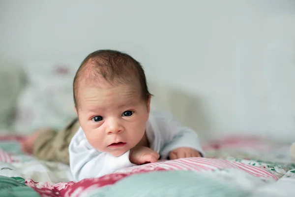 Niedliches Neugeborenes, lag im Bett und blickte in die Kamera — Stockfoto
