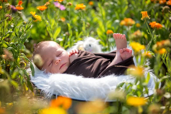 Lindo bebé recién nacido, durmiendo pacíficamente en la cesta en el jardín —  Fotos de Stock