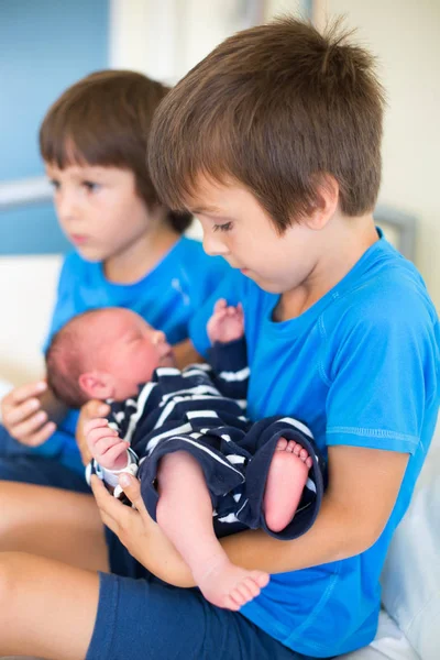 Két fiú, testvér, találkozó az első alkalommal az új baba-br — Stock Fotó