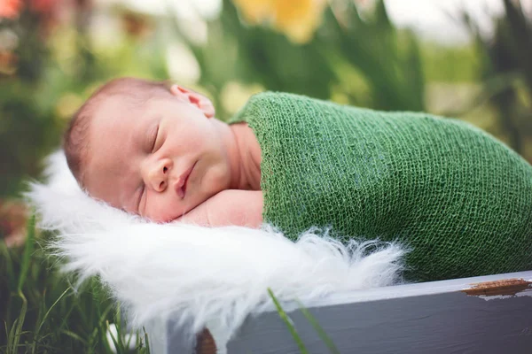 Little sweet newborn baby boy, sleeping in crate with wrap and h — Stock Photo, Image