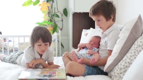 Dulce niño preescolar, leyendo un libro a su hermano recién nacido, sentado en la cama en el dormitorio, concepto de la infancia — Vídeos de Stock