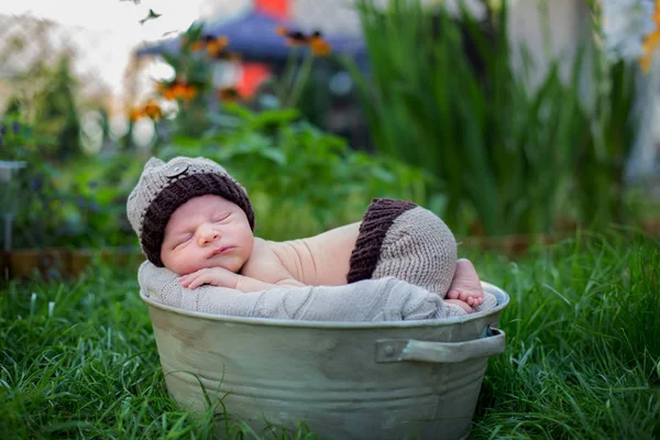 Küçük tatlı yeni doğan bebek çocuk örgü pa ile sandık, uyuyan,