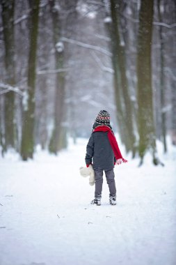 Üzgün kayıp çocuk, çocuk oyuncak ayı, bir orman içinde kış
