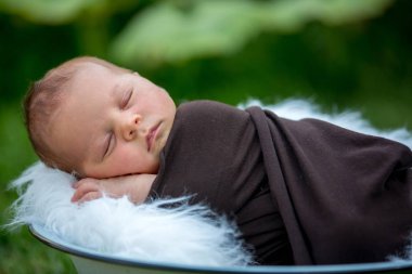 Şirin yeni doğan bebek çocuk, huzur içinde Bahçe sepete sleeping