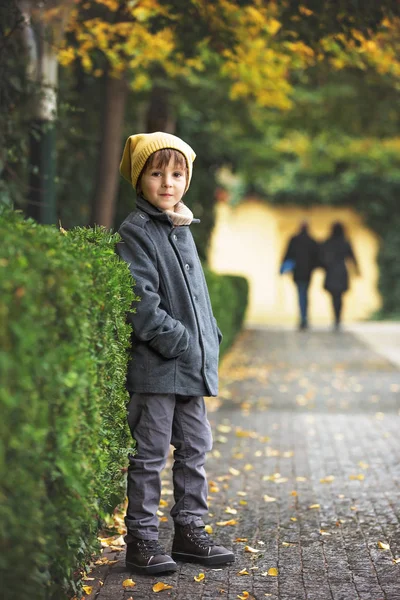 Портрет ребенка, мальчик в осеннем парке, повседневная одежда — стоковое фото