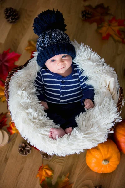 Cute newborn baby boy with knitted hat in a basket — Stock Photo, Image