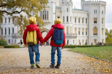 Two beautiful children, boy brothers, walking on a path in beaut clipart