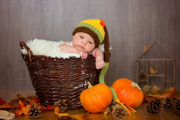 Cute newborn baby boy with knitted hat in a basket — Stock Photo, Image