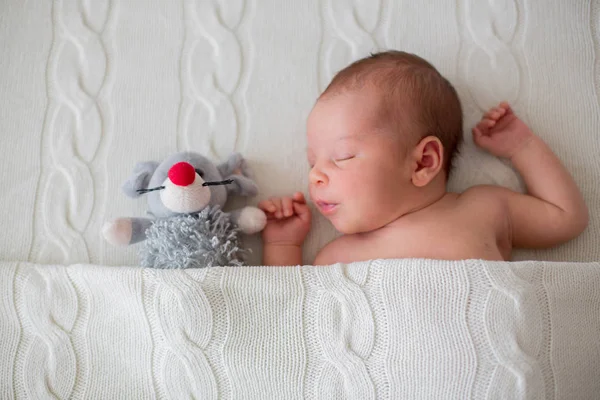 Yeni doğan bebek çocuk, küçük örme oyuncak sarılma uyku — Stok fotoğraf