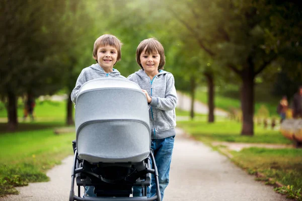 Twee kinderen, jongens, duwen wandelwagen met kleine baby — Stockfoto