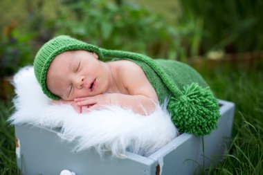 Little sweet newborn baby boy, sleeping in crate with wrap and h clipart