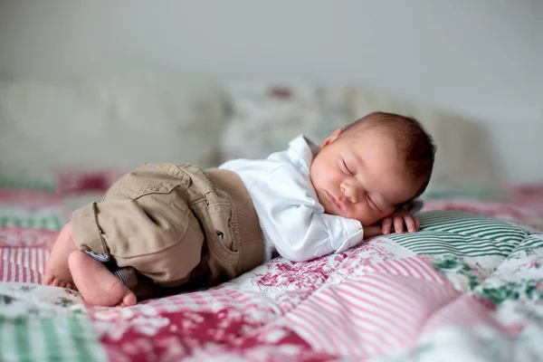 Beautiful little newborn baby boy, dressed as little gentlemen, — Stock Photo, Image