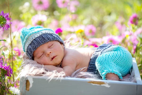 Lindo bebé recién nacido, durmiendo pacíficamente en la cesta en el jardín —  Fotos de Stock