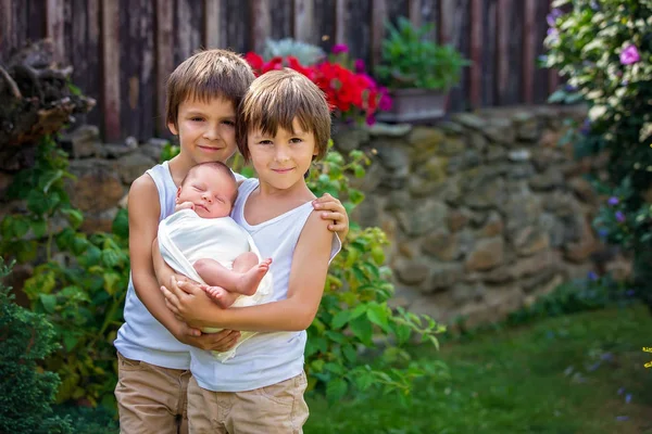 Little children, boys with a newborn brother in the park — Stock Photo, Image
