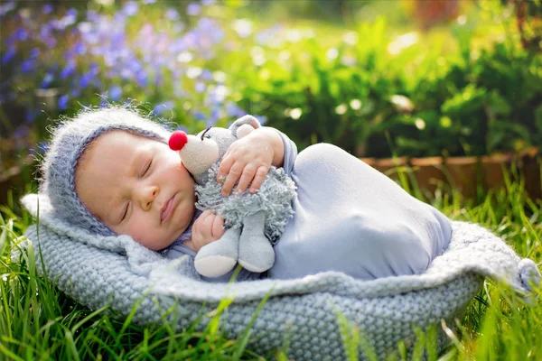 Uyku, şirin küçük mous tutan şirin bebek çocuk,