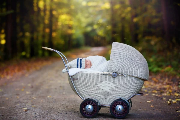 Eski retro bebek arabası ormanının uyku küçük yeni doğan bebek çocuk — Stok fotoğraf
