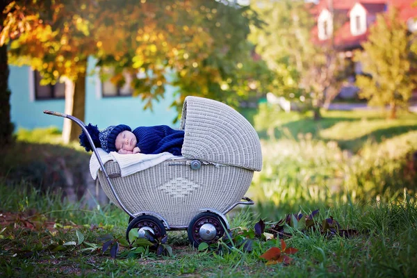 Pequeño bebé recién nacido, durmiendo en un viejo cochecito retro en fores —  Fotos de Stock