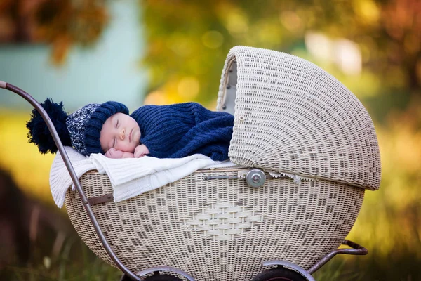 Pequeño bebé recién nacido, durmiendo en un viejo cochecito retro en fores — Foto de Stock