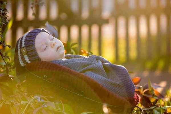 Menino recém-nascido, envolto em cachecol, deitado em cesta em fo — Fotografia de Stock