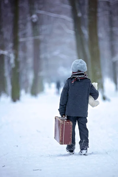 Bambino triste, ragazzo, camminare in una foresta con vecchia valigia e orsacchiotto — Foto Stock