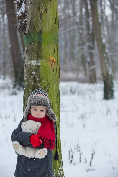 Triste niño perdido, niño en un bosque con oso de peluche, invierno — Foto de Stock
