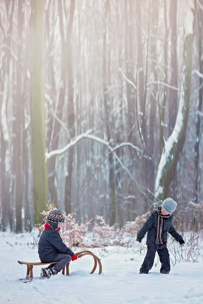 Glada barn i en vinter park, spela tillsammans med en kälke — Stockfoto