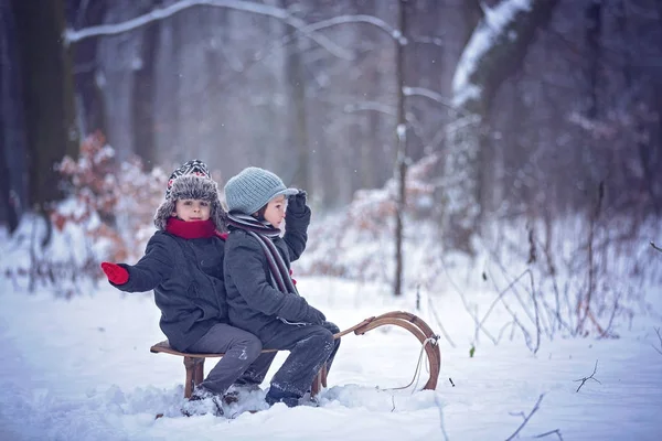 Niños felices en un parque de invierno, jugando juntos con un trineo — Foto de Stock