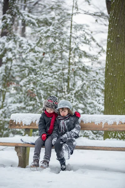 Dos niños, hermanos varones, sentados en un banco en el parque, invierno — Foto de Stock