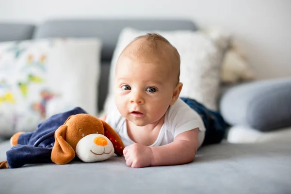 Menino adorável, brincando com brinquedo, olhando curiosamente — Fotografia de Stock