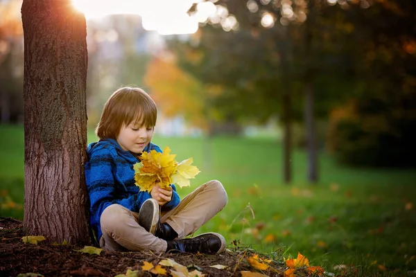 Krásné podzimní portrét mladého předškolní chlapce v parku — Stock fotografie