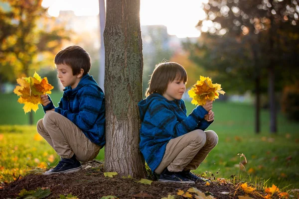 Hermoso retrato de otoño de un niño preescolar en el parque — Foto de Stock