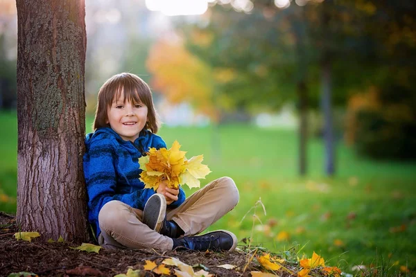 Hermoso retrato de otoño de un niño preescolar en el parque — Foto de Stock