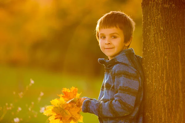 Autunno ritratto di un bambino in età prescolare carino, ragazzo, seduto su un ben — Foto Stock