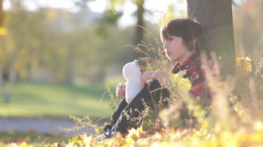 Sevimli küçük çocuk oyuncak ayı parkta bir sonbahar günü öğleden sonra çimde oturma ile