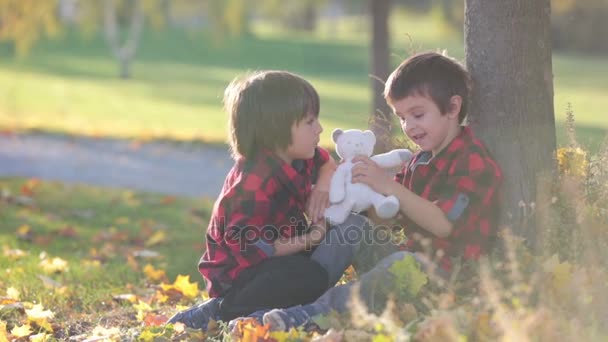 Двое детей, мальчики, играющие с игрушками в парке, осеннее время — стоковое видео