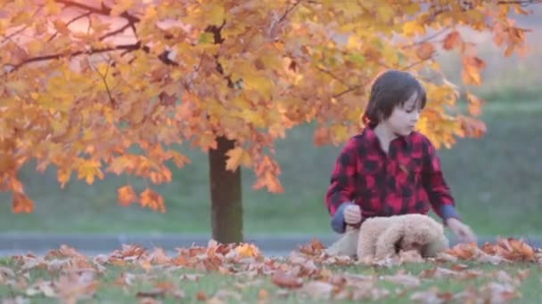 Menino adorável com ursinho de pelúcia no parque em um dia de outono da tarde, sentado na grama — Vídeo de Stock