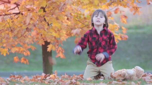 Adorable niño con osito de peluche en el parque en un día de otoño por la tarde, sentado en la hierba — Vídeos de Stock