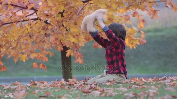 Menino adorável com ursinho de pelúcia no parque em um dia de outono da tarde, sentado na grama — Vídeo de Stock